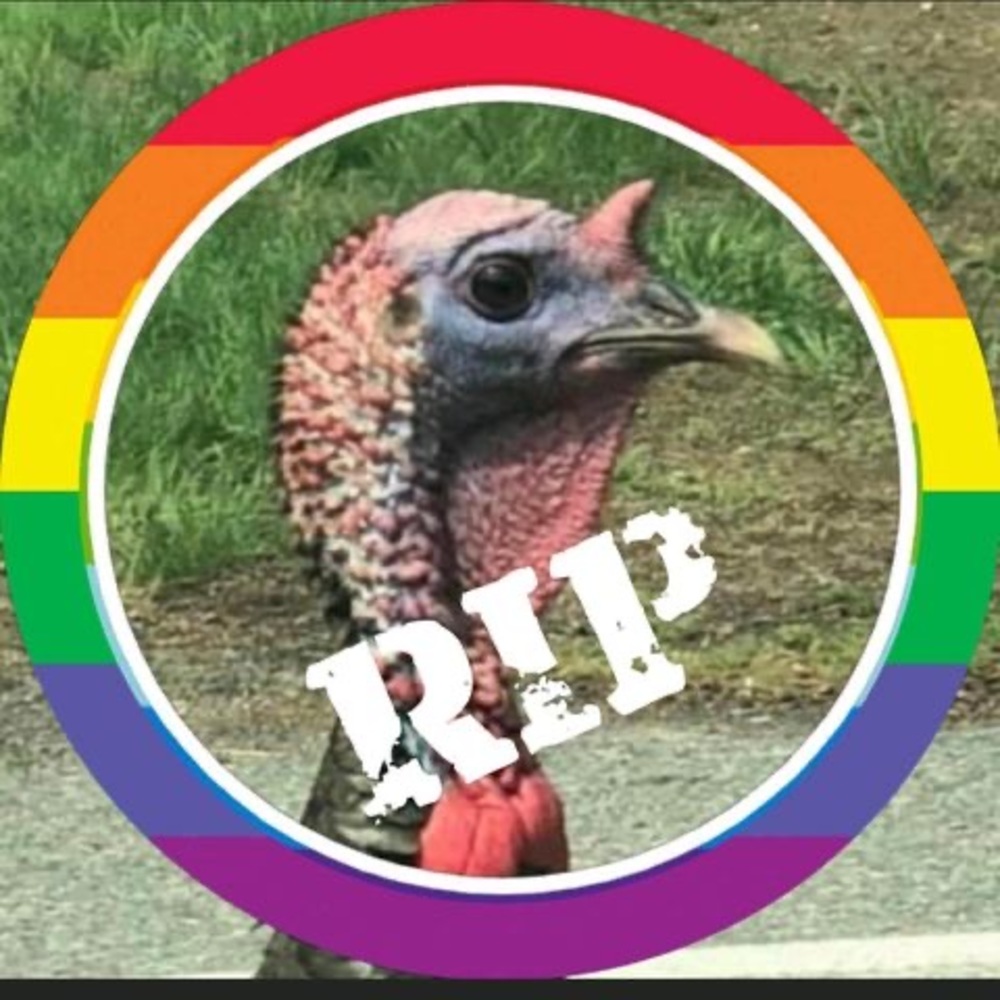 Meet your Posher, Stan